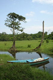 Lagune de Sontecopan