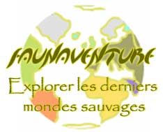 Explorer les derniers mondes sauvages