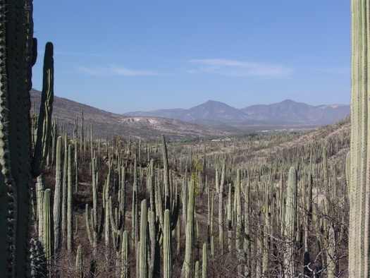 tehuacan-tourisme